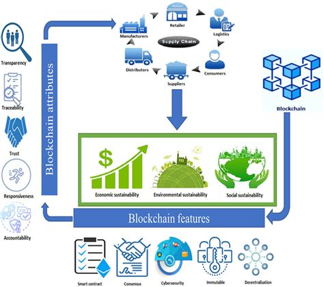 How Blockchain Increases Logistic Transparency: A Case Study