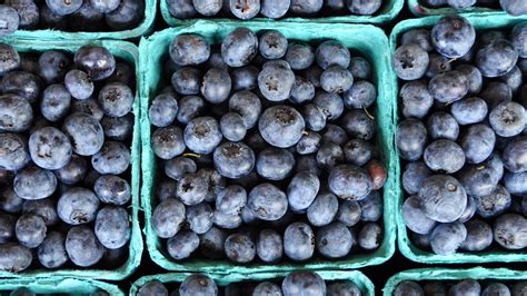 How Blueberries Are the Beauty Secret You Need to Know