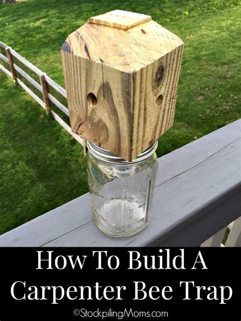 How Build A Carpenter Bee Traps