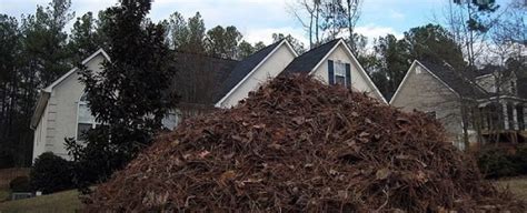 How Can Pine Straw Damage Your Roof? Findlay Roofing