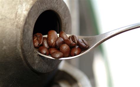 How Can Roasters Market Sustainable Coffee? - Perfect Daily Grind