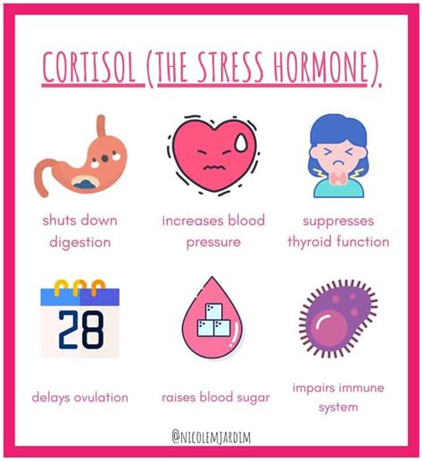 How Can Stress Affect Your Period - PeriodProHelp.com