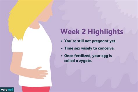 How Can You Tell If Your Pregnant After 2 Weeks