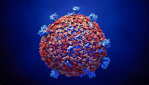 How Coronavirus Is Delaying Cancer Care and Screening