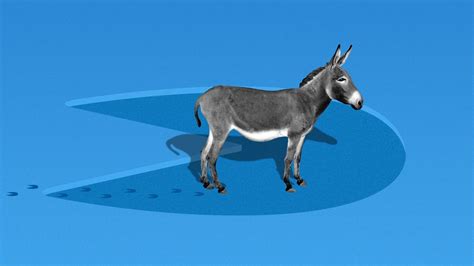 How Democrats big plans for Big Tech shrank to tiny steps