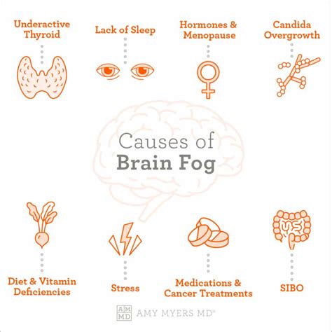 How Diabetes Causes Brain Fog and Memory Loss: Can Anything Help