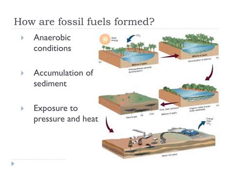 How Do Fossil Fuels Form Apex