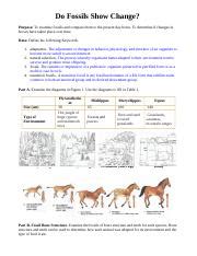 How Do Fossils Show Change Answers
