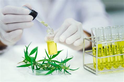 How Do Labs Test Cannabinoids and Terpenes? - Weed Me