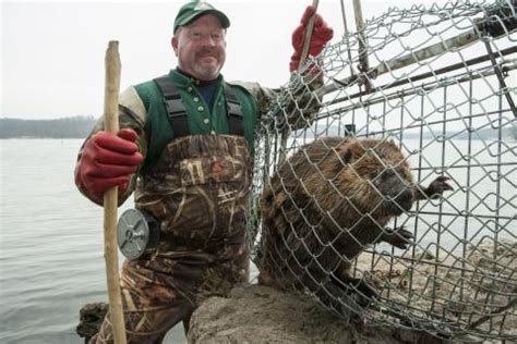 How Do Traps Work? Missouri Department of Conservation