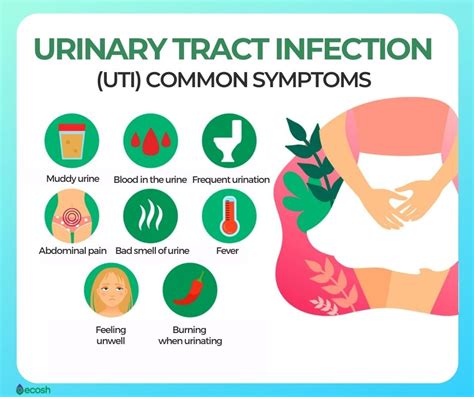 How Do You Get Urinary Tract Infection Symptoms