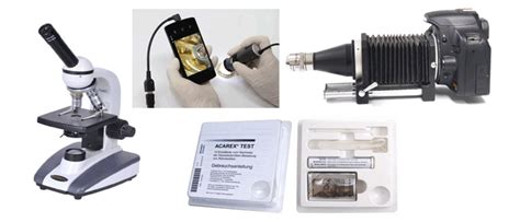 How Do You Know If You Have Dust Mites Detection Techniques and Tests