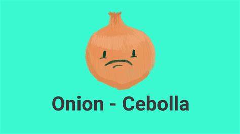 How Do You Say Onion In Spanish - 666how.com