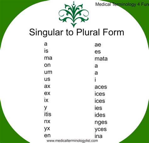 How Do You Write The Plural Form Of Crisis Kalimat Blog