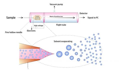 How Does A Mass Spectrometer Work? Chemistry Made Simple