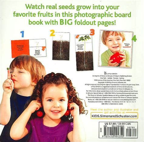How Does A Seed Grow A Book With Foldout Pages