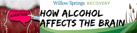 How Does Alcoholism Affect The Family? - Willow Springs Recovery