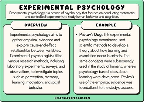 How Does Experimental Psychology Study Behavior? - Verywell …