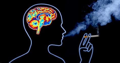 How Does Nicotine Affect Your Brain: A Comprehensive Guide