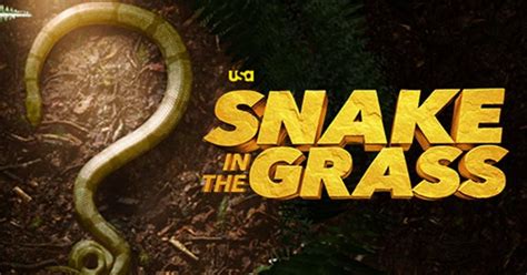How Does Snake in the Grass Work There s a Lot on the Line