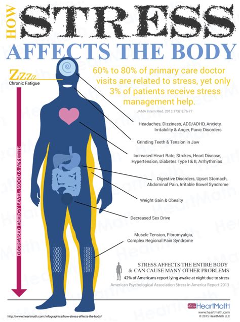 How Does Stress Affect The Circulatory System