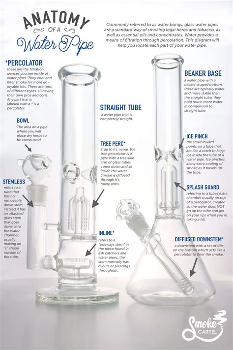 How Does a Bong Work? A Guide to the Water Pipe Leafly