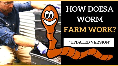 How Does a Worm Farm WORK? Updated 2024 Version - YouTube