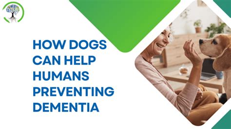 How Dogs Can Help Humans Prevent Dementia Voise Foundation
