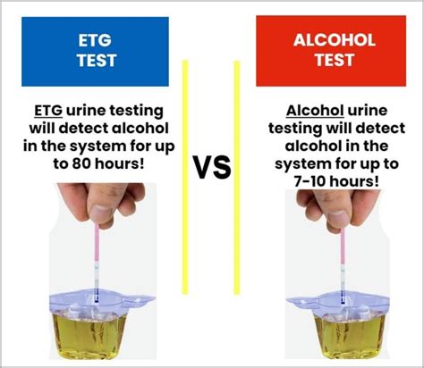 How ETG Alcohol Testing Works and Its Uses in Legal Processes in