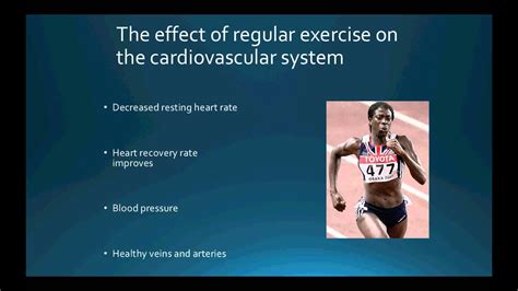 How Exercise Affects the Circulatory System