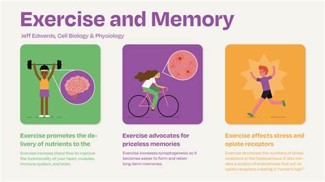 How Exercise Can Improve Your Brain Fitness and Memory