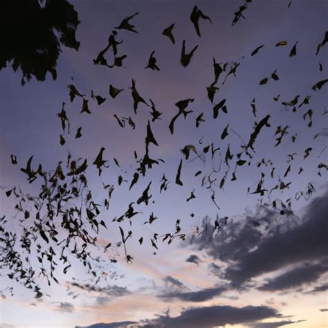 How Far Do Bats Travel? - The Classic Wanderer