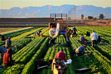 How Farms Work - As part of my ever growing mission to.