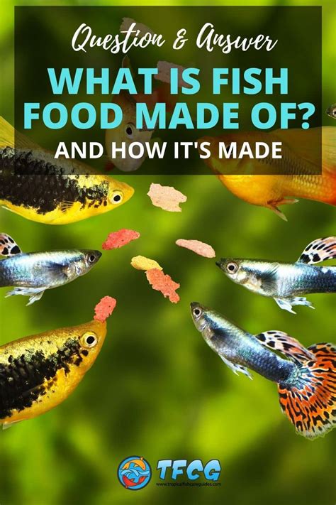 How Fish Food Is Made - WHYIENJOY