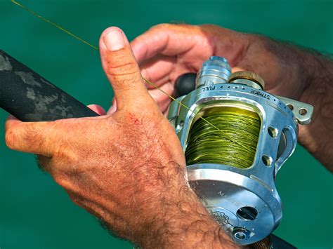 How Fishing Reel Gears Work Sport Fishing Mag