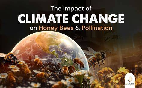 How Food Supplements Could Help Bees Survive Climate Change (2026)