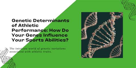 How Genetics Influence Athletic Ability