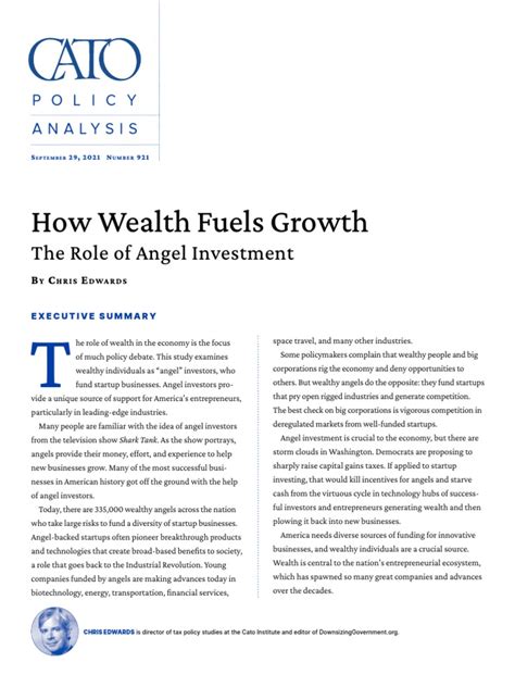 How Wealth Fuels Growth The Role of Angel Investment