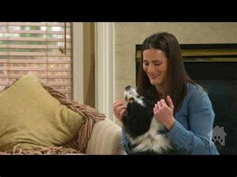 How HomeAgain Helps Pets Find Their Family - YouTube