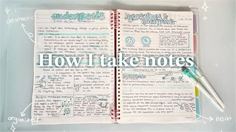 How I take AESTHETIC notes/Note taking compilation 💖📝 YouTube
