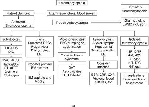 How I treat thrombocytopenia in pregnancy - PubMed