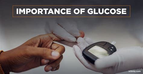 How Is Glucose Important for the Human Body? - iCliniq