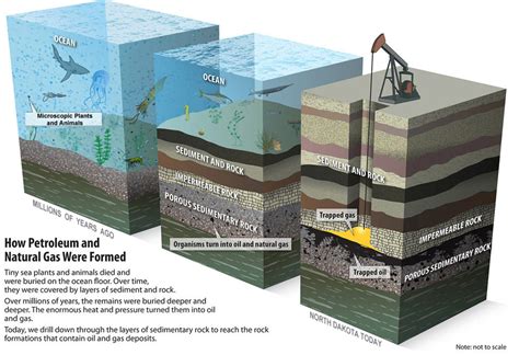 How Is Oil And Natural Gas Formed? - UtilitySmarts