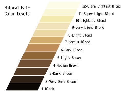 How It Works Hair Color Scale & Software Get Vish