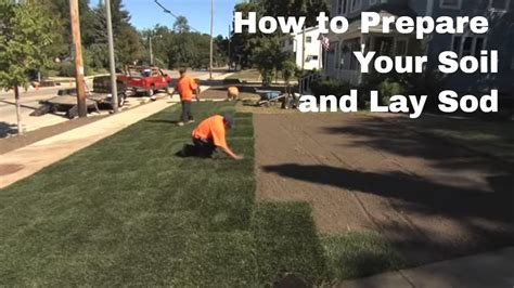 How Late in the Year Can You Put Sod Down? - SFGATE