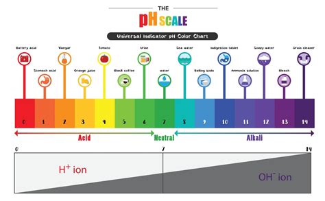 How Learning the pH Scale Can Create a More Balanced Diet Natural Bio