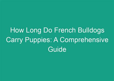 How Long Do French Bulldogs Carry Puppies
