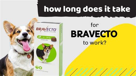 How Long Does Bravecto Pill Take To Work Riddles For Fun