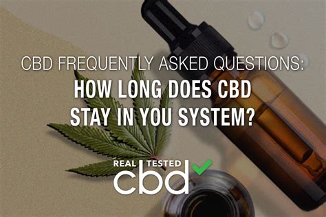 How Long Does Cbd Stay In Your Dogs System