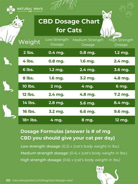 How Long Does Cbd Take For Cats